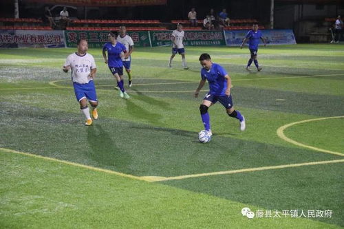 中國大眾網球聯賽山東省省級聯賽今日落幕