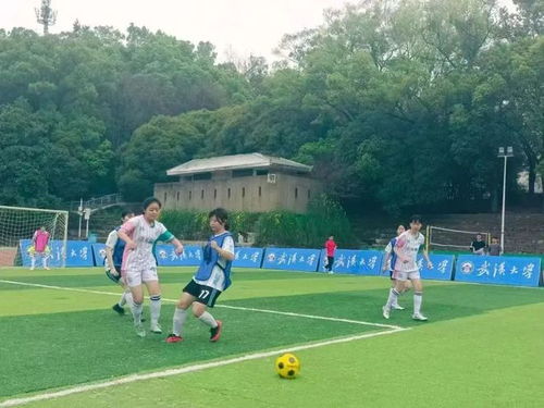 2023賽季山東省射箭聯賽萊西站比賽舉辦