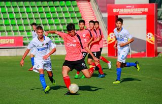2023年全國男子柔道錦標賽：山東隊斬獲1金1銀6銅