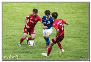 WCBA四分之一決賽：浙江爆冷戰勝江蘇 內蒙古大勝山西