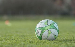 中國女籃7月熱身賽備戰奧運 將與法國等隊交手